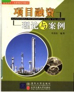 项目融资理论与案例