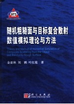随机粗糙面与目标复合散射数值模拟理论与方法