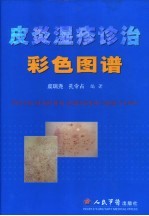 皮炎湿疹诊治彩色图谱