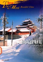 西方现代美术流派（全彩版）