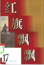 红旗飘飘 17集
