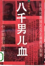 八千男儿血 中日常德会战纪实