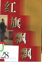 红旗飘飘 28集