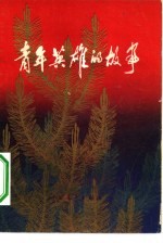 青年英雄的故事