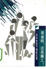 是老板，还是雇工? 形形色色下海者记事
