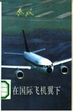 在国际飞机翼下