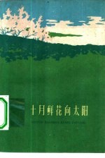 十月鲜花向太阳 十月人民公社史