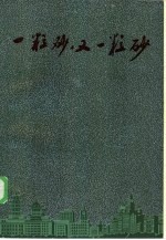 一粒砂, 又一粒砂 报告文学集