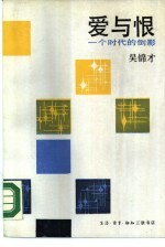 爱与恨 一个时代的倒影