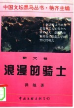 浪漫的骑士