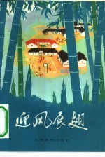 迎风展翅 报告文学集