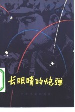 长眼睛的炮弹 淮海战役故事集