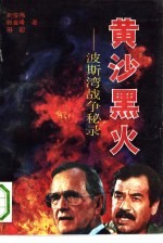 黄沙黑火 波斯湾战争秘录