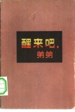 醒来吧,弟弟 短篇小说集