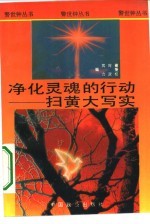 净化灵魂的行动 扫黄大写实
