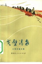戈壁清泉 工程兵散文集