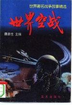 世界空战 世界著名战争故事精选