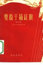 要敢于插红旗 杂文集