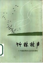 竹林枪声 一个新四军武工队员的回忆