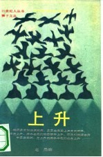 上升 当代中国大陆新生代散文选
