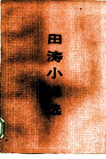 田涛小说选