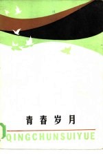 青春岁月 当代青年小报告文学选