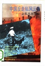 中国反走私风云录 走私黑潮探秘