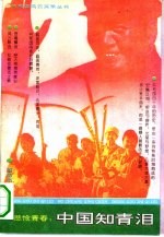 悲怆青春 中国知青泪