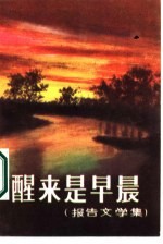 醒来是早晨 报告文学集