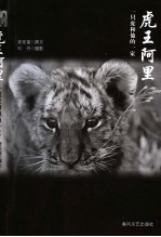 虎王阿里 一只虎和他的一家