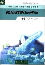 同步解析与测评 化学 九年级 上