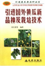引进国外黄瓜新品种及栽培技术