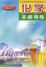 化学基础训练 九年级 人教版 上