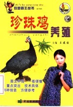 珍珠鸡养殖