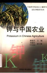 钾与中国农业