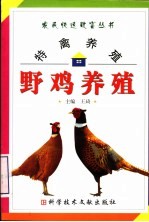 特禽养殖 野鸡养殖