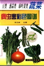 豆类 葱蒜类 绿叶菜类蔬菜病虫害彩色图谱