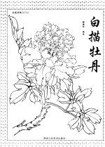 白描牡丹