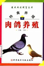 特禽养殖 肉鸽养殖