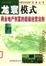 龙寰模式 商业地产创富的超级经营法则