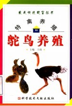 特禽养殖 鸵鸟养殖