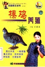 榛鸡养殖