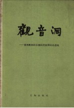 观音洞 贵州黔西旧石器时代初期文化遗址
