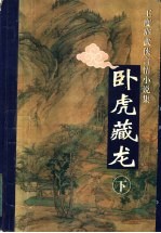 卧虎藏龙 下