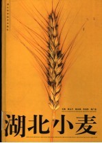 湖北小麦