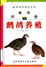 特禽养殖 鹧鸪养殖
