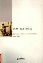 汤姆·索亚历险记