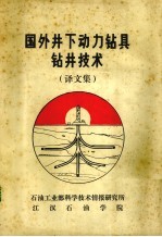 国外井下动力钻具技术 译文集