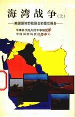 海湾战争 上 美国国防部致国会的最后报告