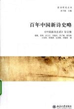 百年中国新诗史略 《中国新诗总系》导言集